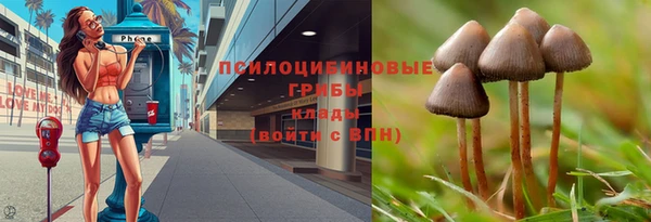 ALPHA PVP Гусев