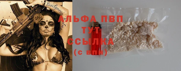 стаф Гусиноозёрск