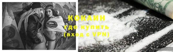 гидра Гусь-Хрустальный