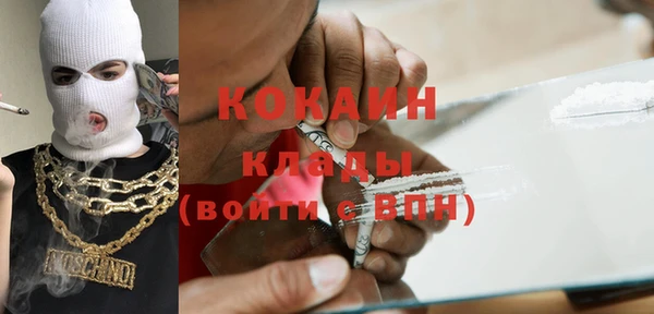 гидра Гусь-Хрустальный