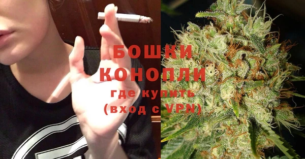 ALPHA PVP Гусев