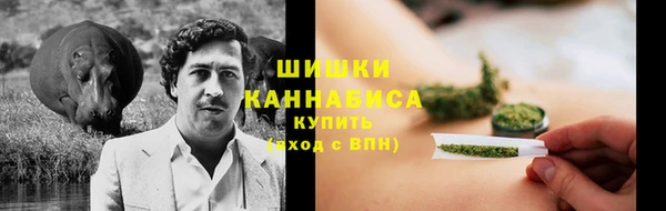 ALPHA PVP Гусев