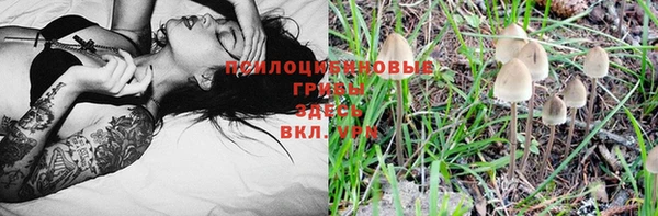стаф Гусиноозёрск