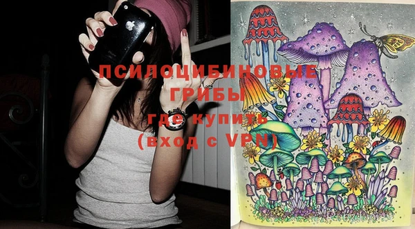 mdpv Горно-Алтайск