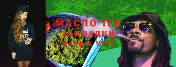 гидра Гусь-Хрустальный