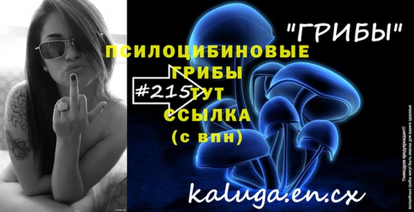 стаф Гусиноозёрск