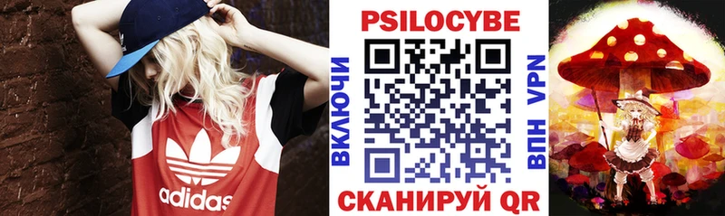 Псилоцибиновые грибы ЛСД  Купить  Пудож 
